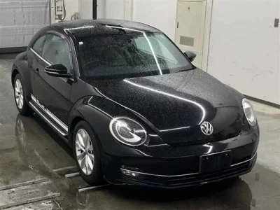 Volkswagen THE BEETLE
