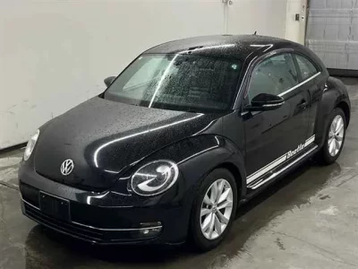 Volkswagen THE BEETLE