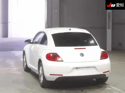 Volkswagen THE BEETLE