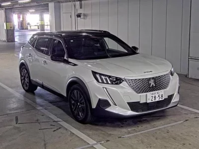 Peugeot E-2008