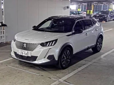 Peugeot E-2008