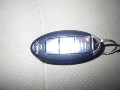 Nissan DUALIS
