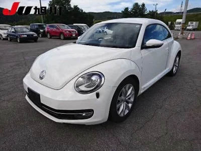 Volkswagen THE BEETLE