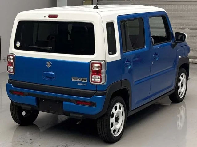 Suzuki HUSTLER