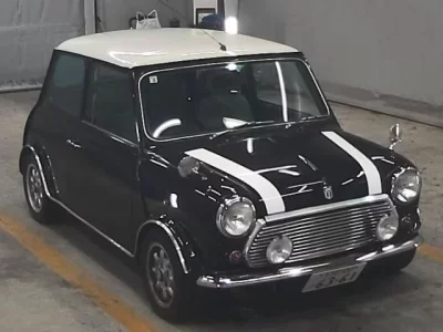 Rover MINI