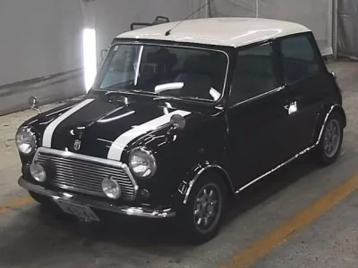 Rover MINI