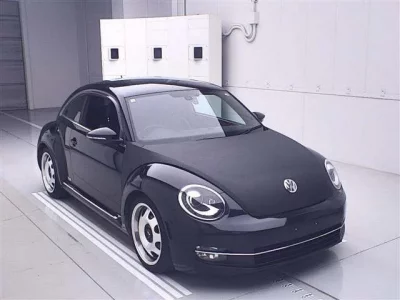 Volkswagen THE BEETLE