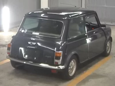 Rover MINI