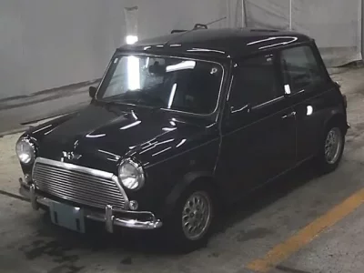 Rover MINI