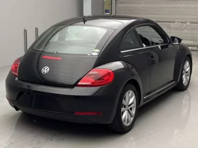 Volkswagen THE BEETLE