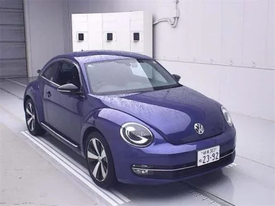 Volkswagen THE BEETLE