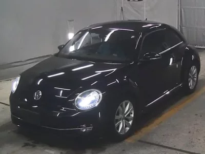 Volkswagen THE BEETLE