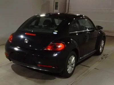 Volkswagen THE BEETLE