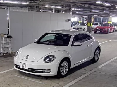Volkswagen THE BEETLE