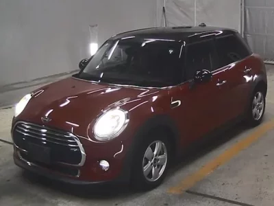 MINI OTHER