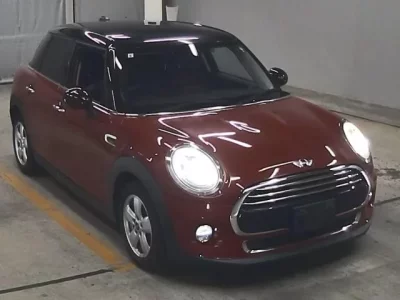 MINI OTHER