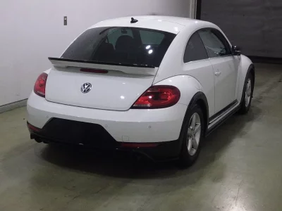 Volkswagen THE BEETLE