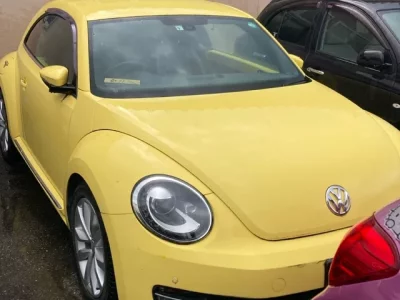 Volkswagen THE BEETLE