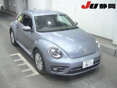Volkswagen THE BEETLE
