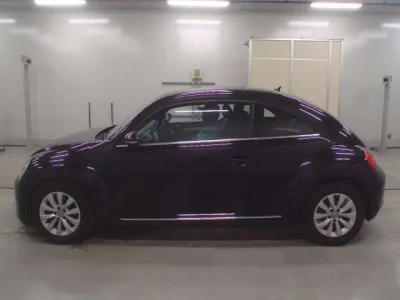 Volkswagen THE BEETLE