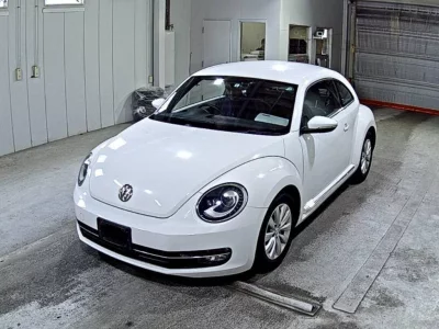 Volkswagen THE BEETLE
