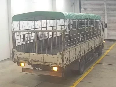Mitsubishi FUSO FIGHTER