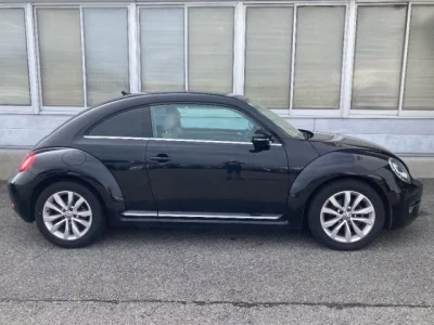 Volkswagen THE BEETLE