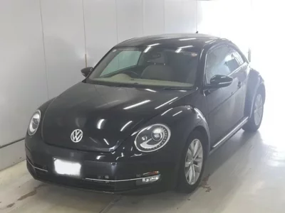 Volkswagen THE BEETLE