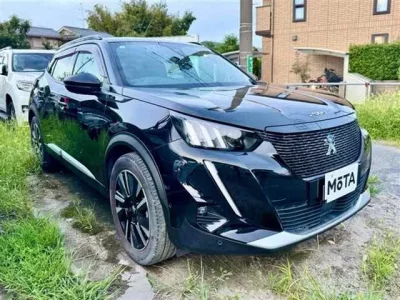 Peugeot E-2008