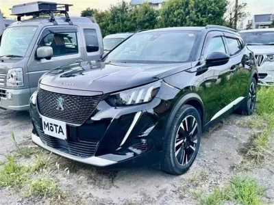 Peugeot E-2008