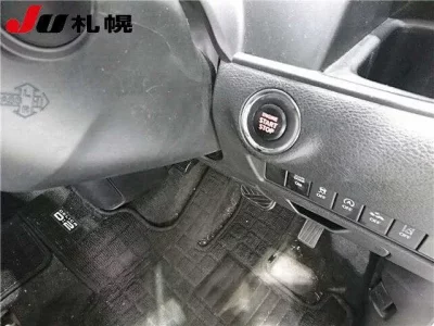 Mitsubishi DELICA D2