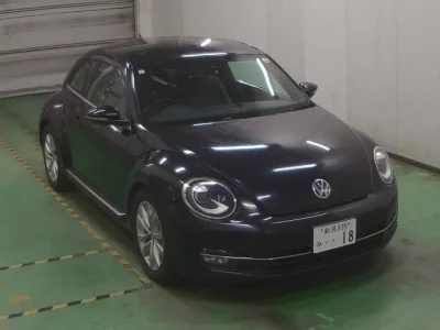 Volkswagen THE BEETLE