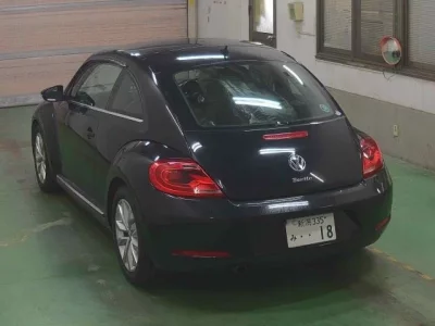 Volkswagen THE BEETLE