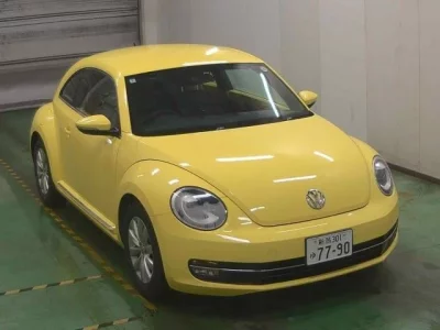 Volkswagen THE BEETLE