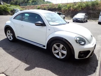 Volkswagen THE BEETLE
