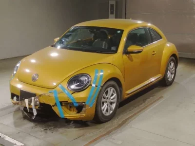Volkswagen THE BEETLE