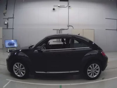 Volkswagen THE BEETLE