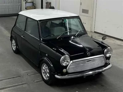 Rover MINI