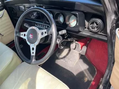 Rover MINI
