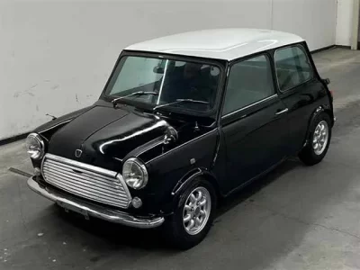 Rover MINI