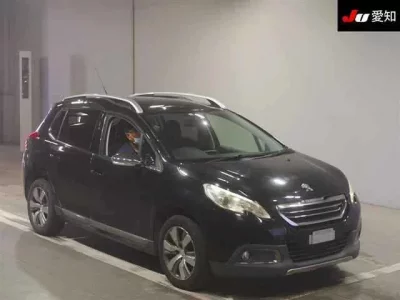 Peugeot OTHER