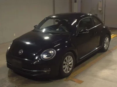 Volkswagen THE BEETLE