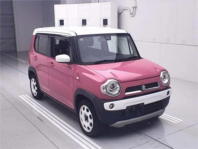 Suzuki HUSTLER