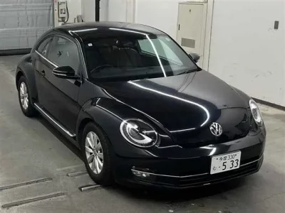 Volkswagen THE BEETLE