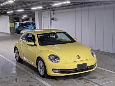 Volkswagen THE BEETLE