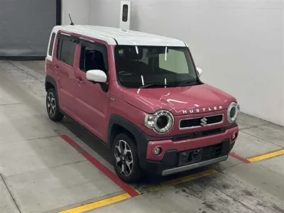 Suzuki HUSTLER