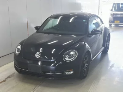 Volkswagen THE BEETLE