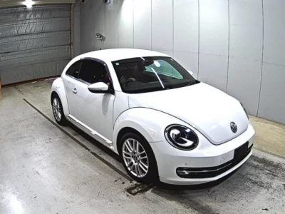Volkswagen THE BEETLE