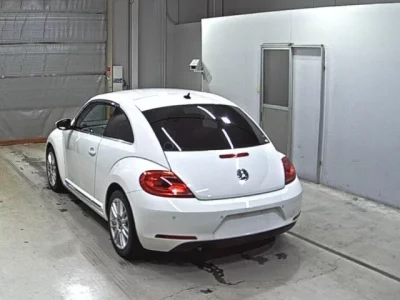 Volkswagen THE BEETLE