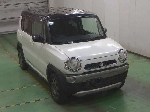 Suzuki HUSTLER